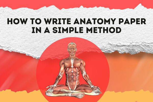 How to Write Anatomy Paper in a Simple MethodHow to Write Anatomy Paper in a Simple Method